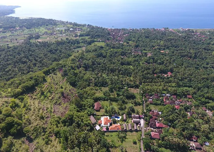 Aura & Bali 4*